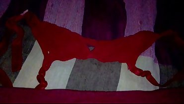 i want cum on my mom panty and bra