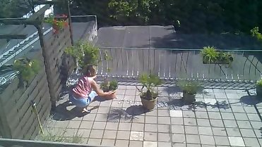 Nachbarin dicke Titten unter dem Shirt (Retro)