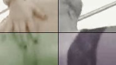 MILF--Mommy Is In Heat