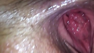 Young bull and someone's mom